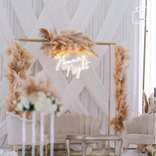 Dream Organization Instagram