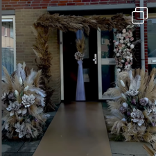 Dream Organization Instagram